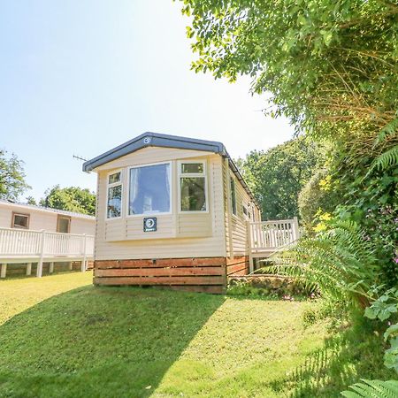 25 Manleigh Park Villa Ilfracombe Buitenkant foto